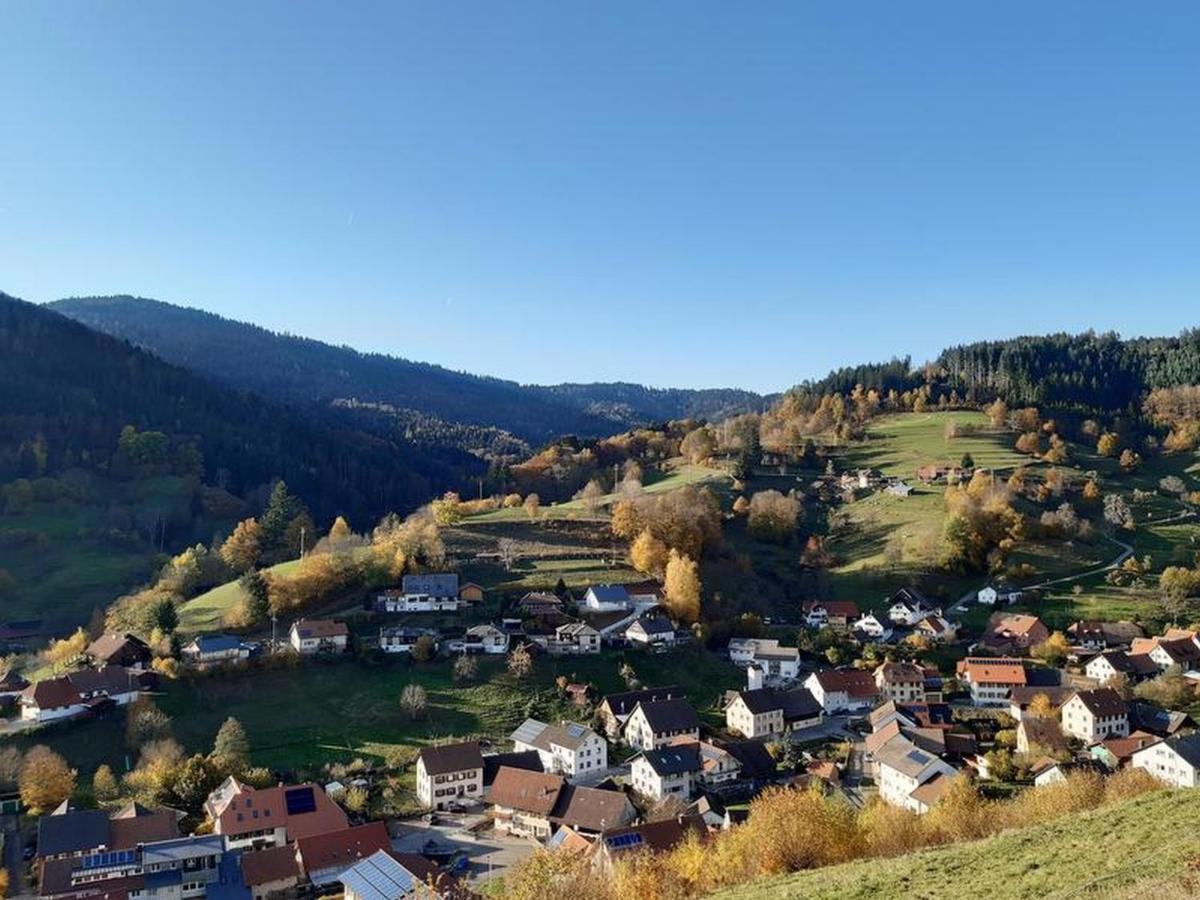 Ferienwohnung Am Geissberg Kleines Wiesental المظهر الخارجي الصورة